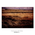 dailyPhoto9